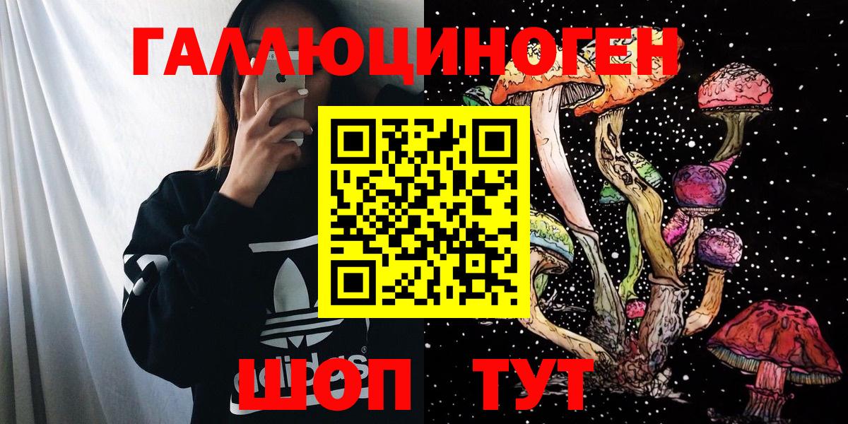 Галлюциногенные грибы Psilocybine cubensis Дивногорск